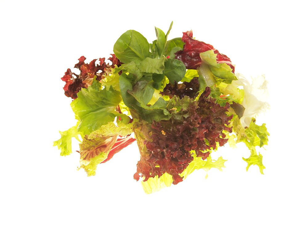 Frisch Frucht Sortiment FF Salatmischung Bolero Mix